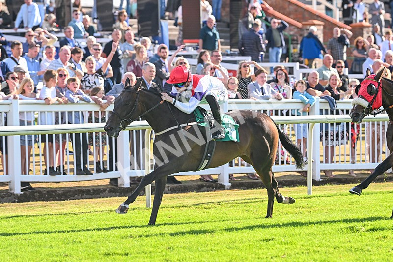 290825-Race 7-Crocus Time-9286 - Race 7