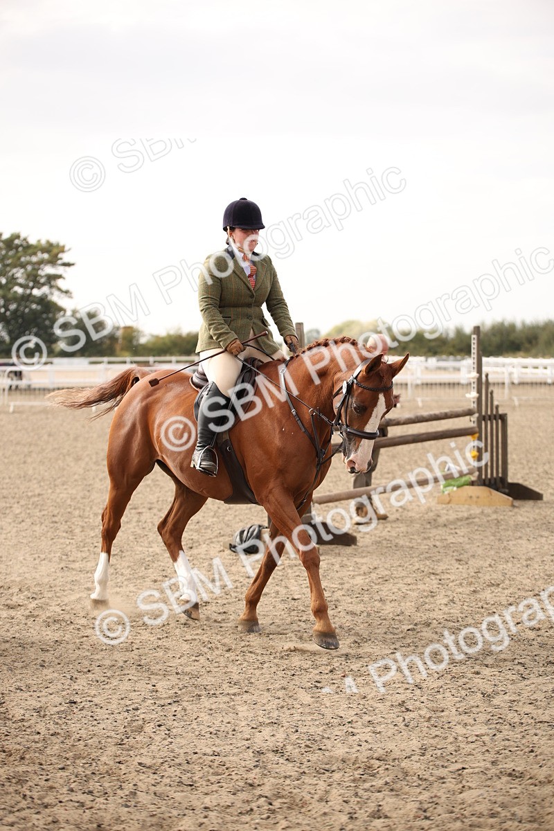 SBM_17299 - Class 410a - Wor5king Veteran 90cm (15-19)