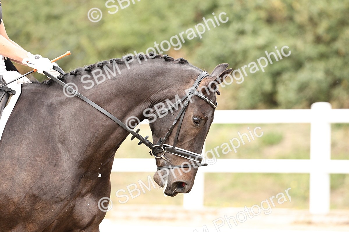 SBM_013261 - Class 3 - Novice 4 - 11.43-12.25