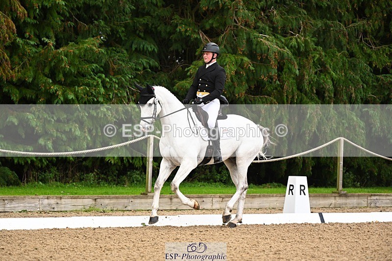 231020-143138-10277 - 207-CARRICK.DIAMOND.BARD-Alex.Holman-DR