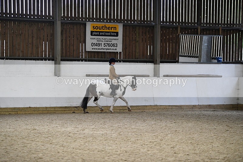 WJ5_7377 - Class 11 Ridden PC - RC Pony