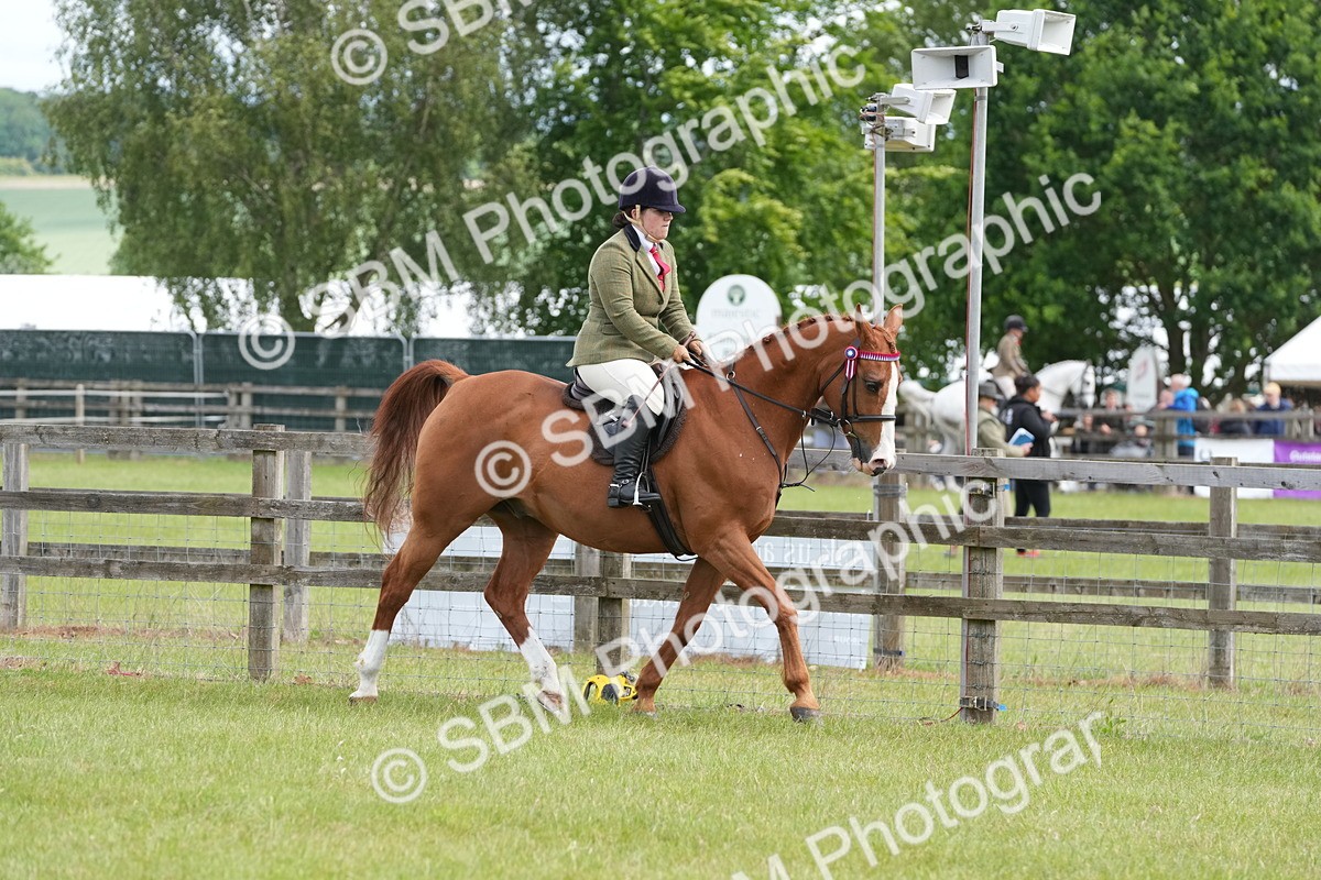 SBM_12917 - Class 99 - RIHS SEIB Working Show Horse