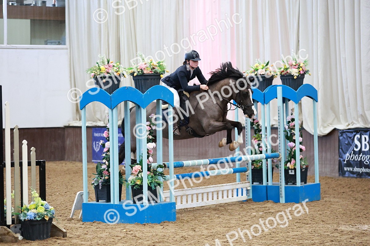 SBM_000296 - Class 2 - Senior British Novice - 90cm
