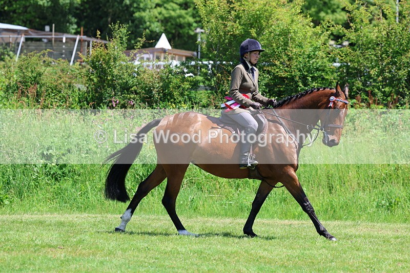 3E7A8064 - Working Hunter Championship