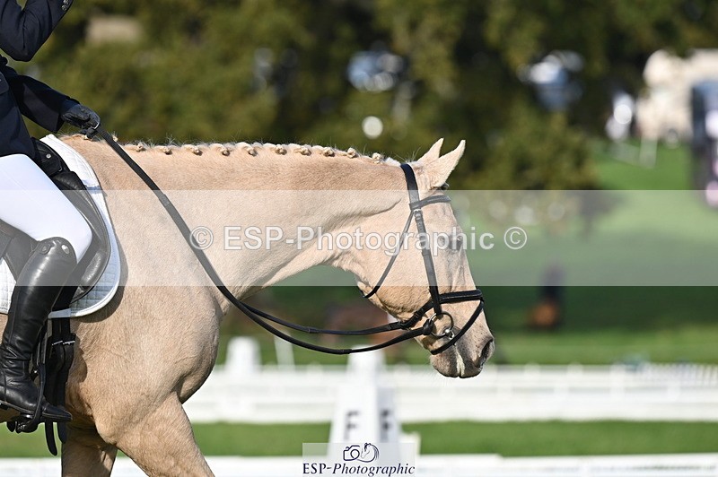 251024A-151235-13990 - E-395-Rolline.OCallaghan