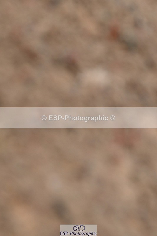 250621-144512-11564 - Cls 30 - Elementary 6