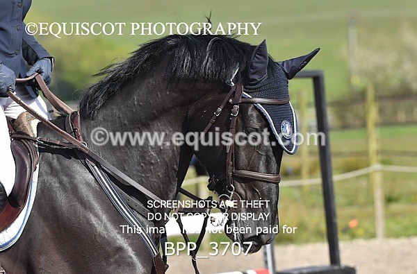 BPP_3707 - CLASS 3 FRI Senior British Novice/ 90cm Open
