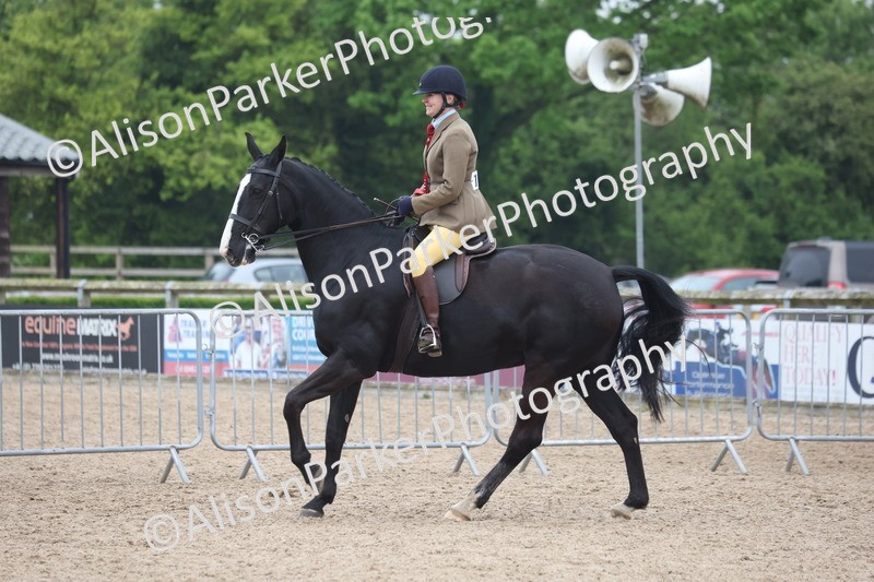20260504-1184 - Class 14 - Cob and Hunter