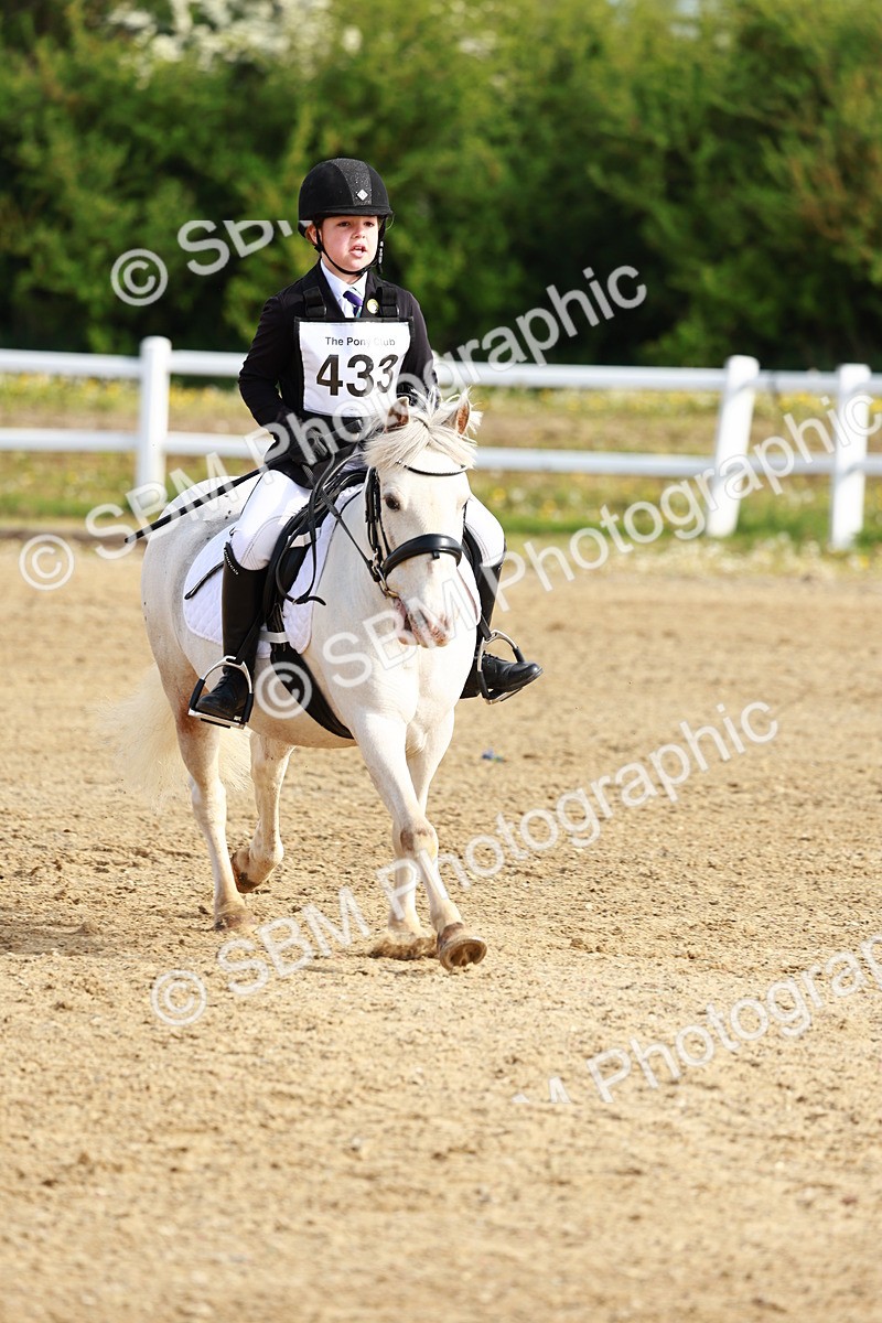 SBM_006413 - Class 1 - 40cm