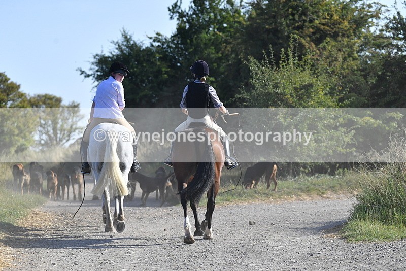 WJ5_4832 - Walk out with the hounds