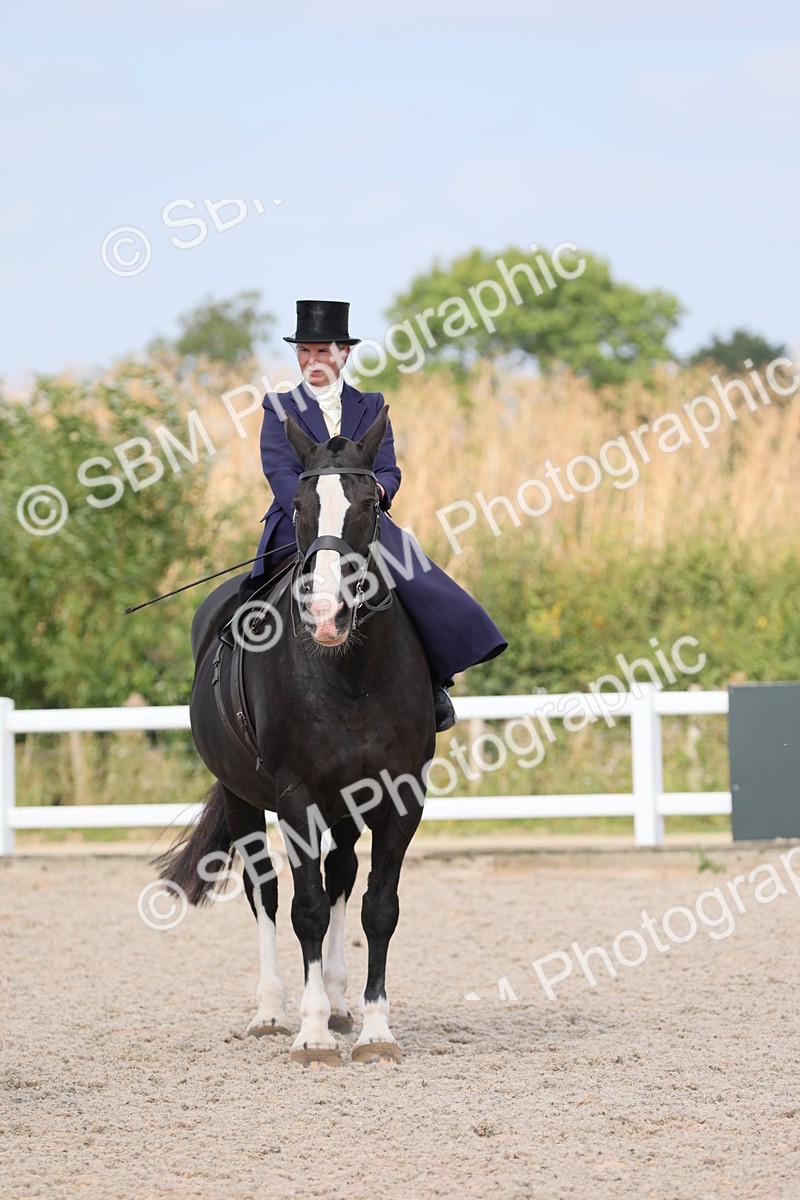 SBM_14595 - Class 211 Best Side Saddle Horse/Pony
