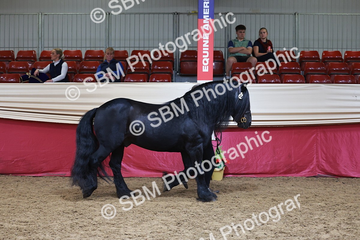 SBM_17429 - Class 951 - M&M IH Supreme Final