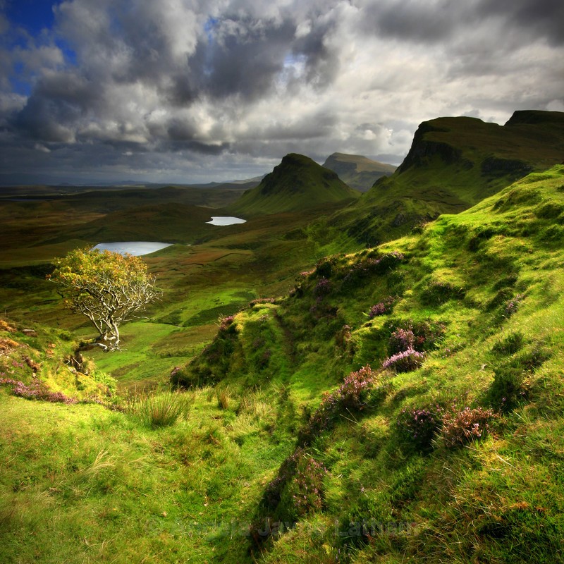 Heather, Hawthorn & Light - Isle of Skye