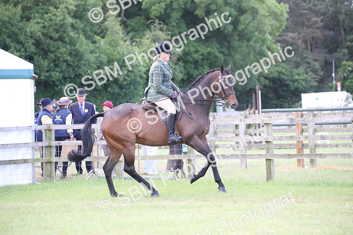 SBM_14172 - Class 113-114 - Retraining of Racehorses Ridden