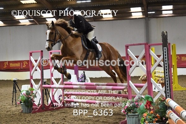BPP_6363 - CLASS 2  Club/ Unaffiliated 80cms Open