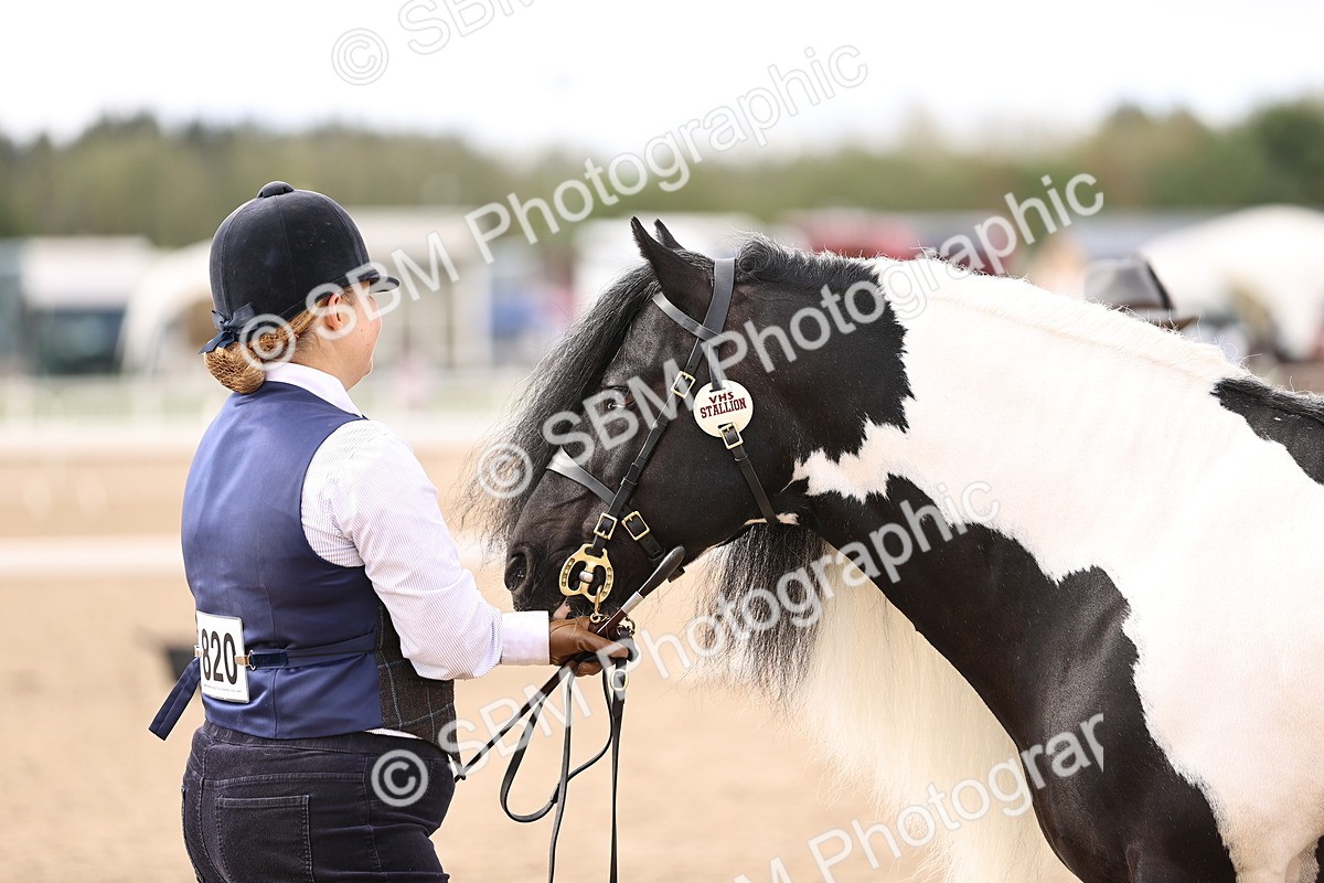SBM_09298 - Class 404 - IH Traditional - Native Cob