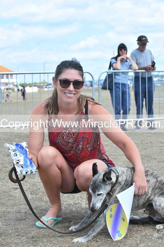 SH4_0192 - Dog show.