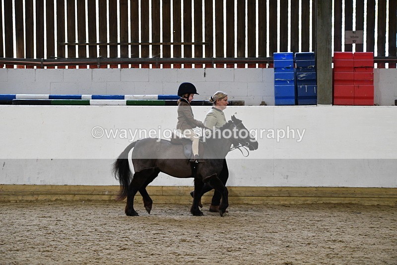WJ5_6607 - Class 10 Childs Pony