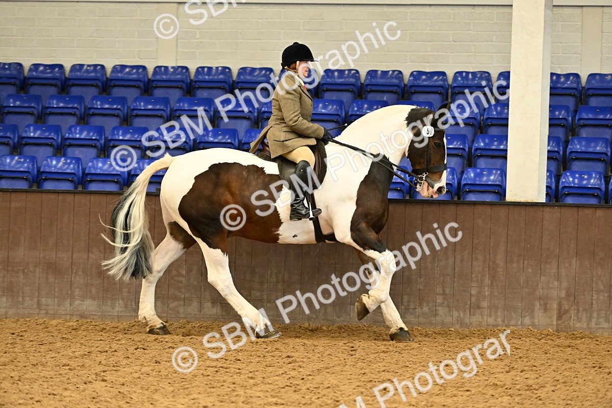 SBM_002021 - Class 21 - BSHA Ridden Show Cob