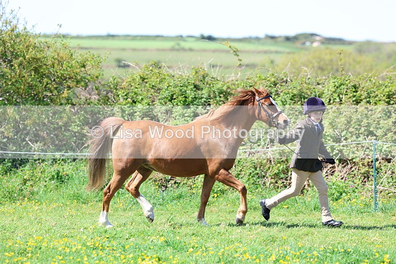 3E7A9826 - Class 17: Young Handler
