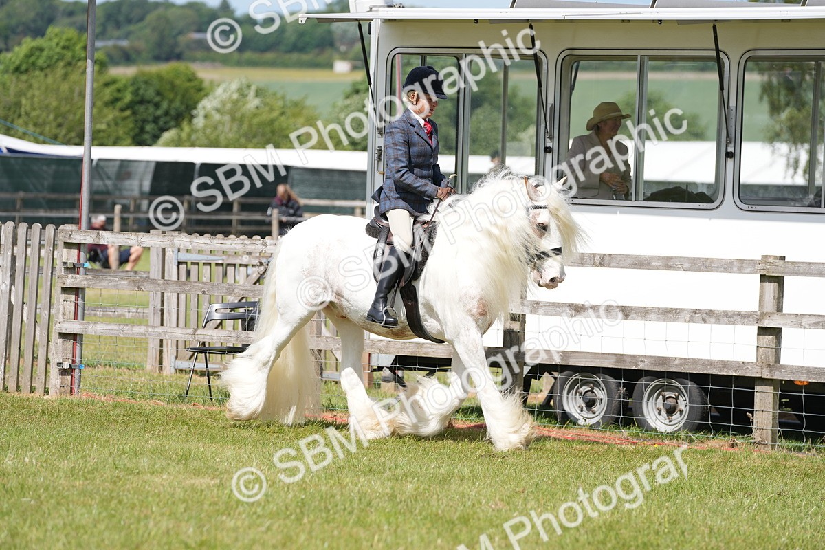 SBM_17098 - Class 107-108 - LIHS BSPS Performance Coloured Horse Pony