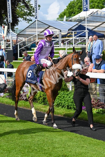 150524-Race 4-Secret Satire-4270 - Race 4 3.45pm Tattersalls Musidora Stakes