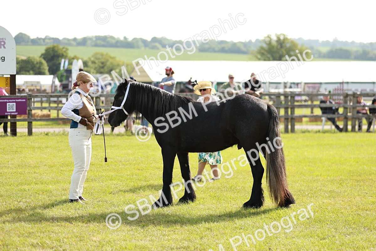 SBM_00732 - Class 14-23 - Mountain & Moorland In Hand Non Welsh