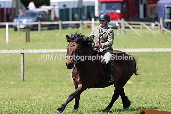 IMG_3617 - Working Hunter