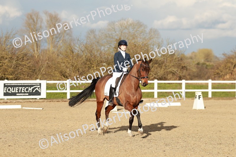 20260314-6290 - CT7 - Elementary 2