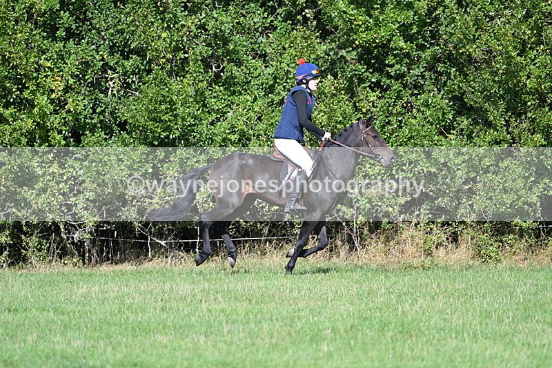 WJ7_8561 - 60cm Pairs