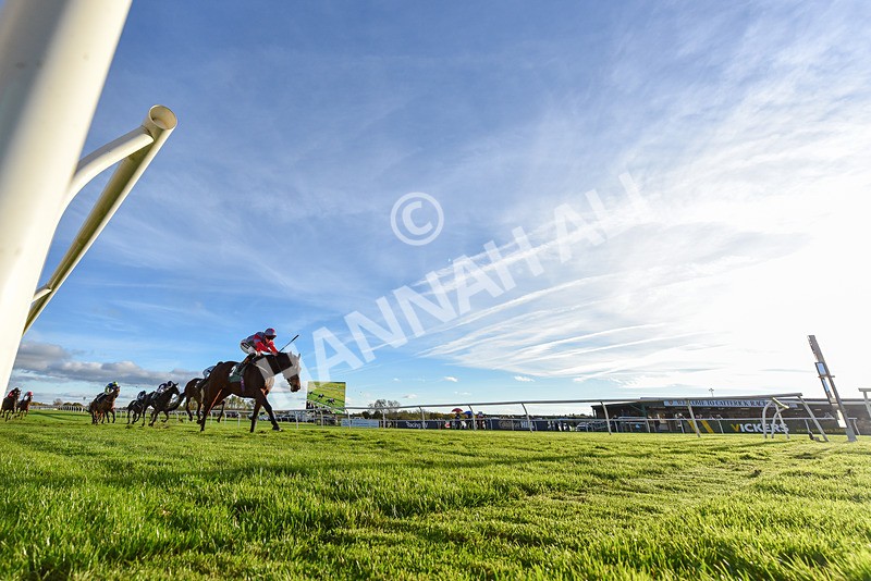 291024-Race 6-Count DOrsay-8790 - Race 6