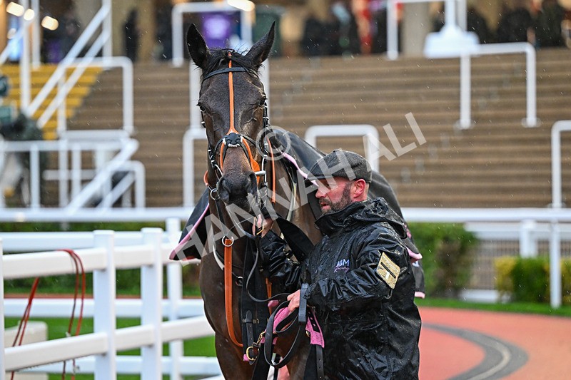 141125-Race 5-Destination Dubai-0753 - Race 5