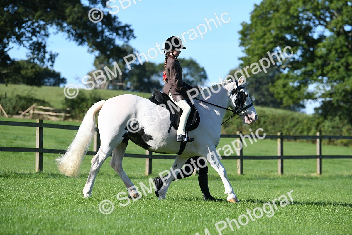 SBM_35319 - S17 - Condition & Turnout - Lead Rein