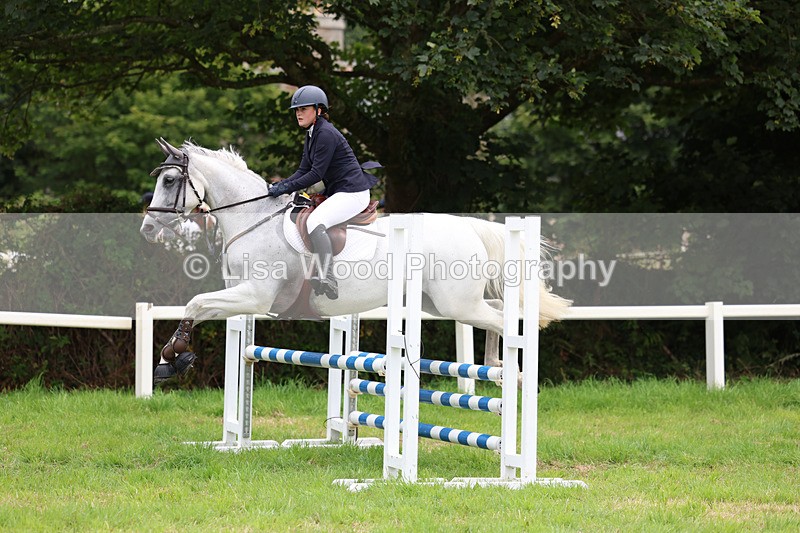 3E7A7043 - Class 5: Senior British Novice/90cm open