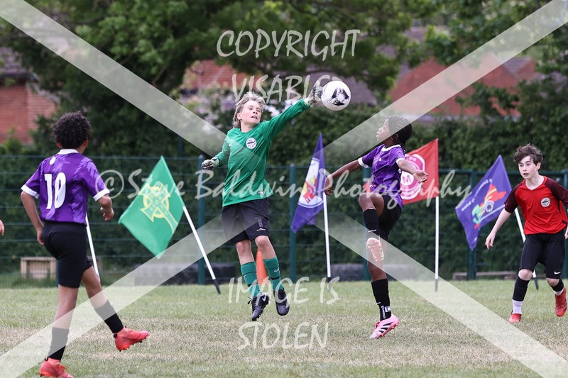1DX31125 - Brook Field V Goddard Park