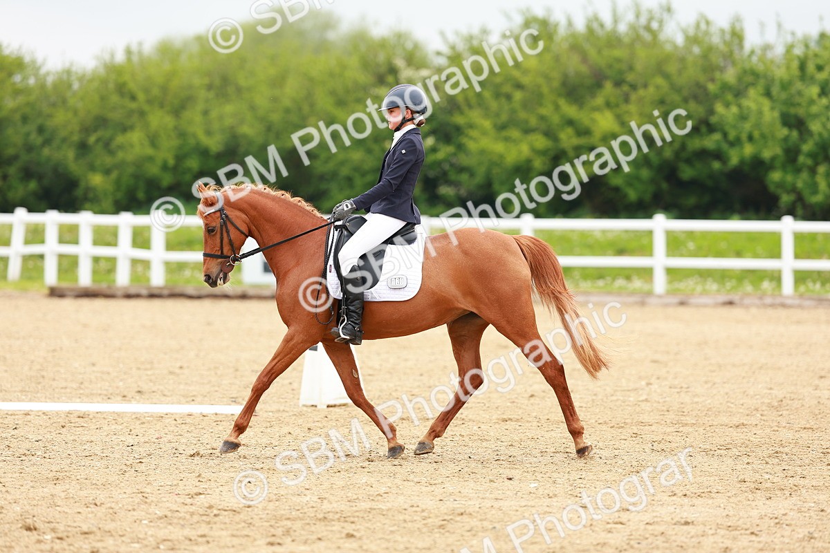 SBM_005209 - Class 16 - Novice 6