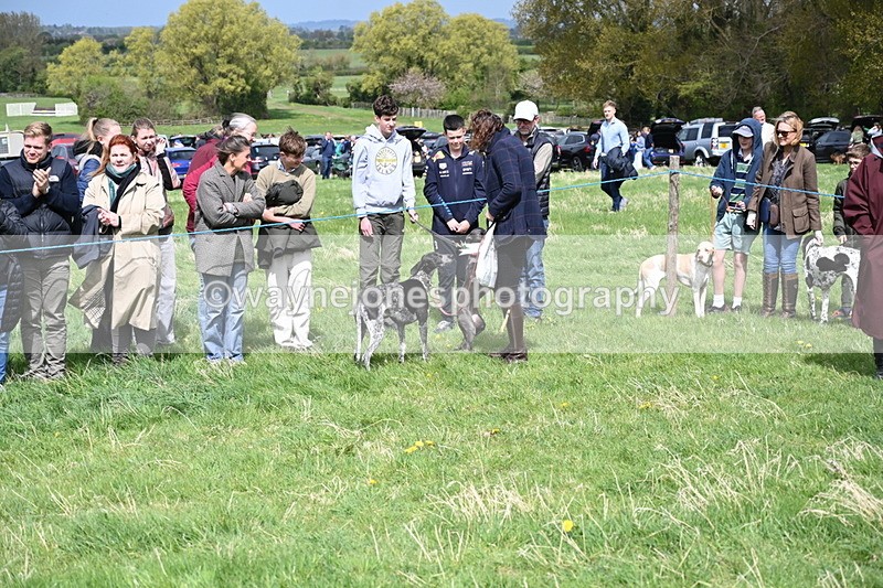 WJ6_8374 - Class 4 Prettiest Bitch