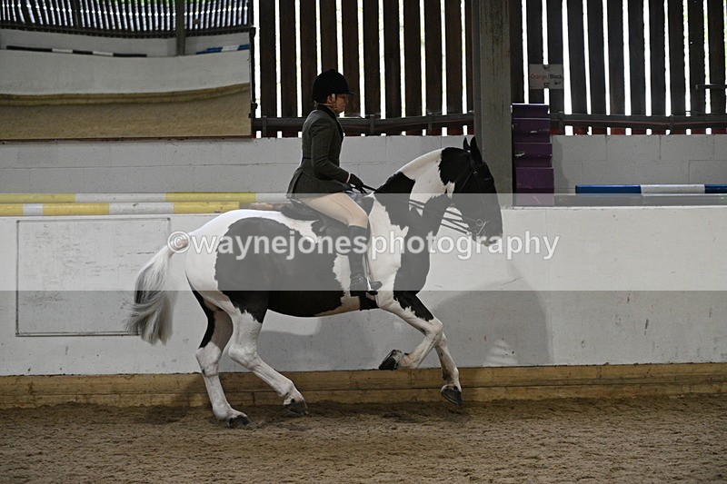 WJ7_3885 - Class 17 Ridden Cob