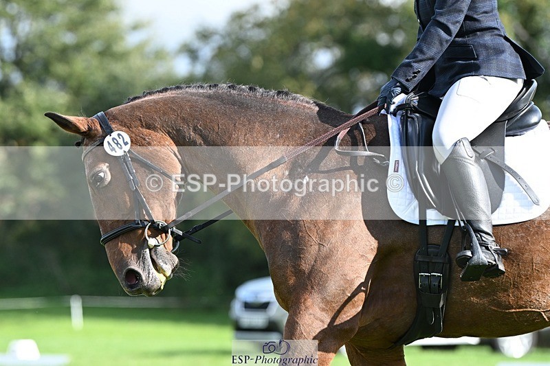 231020-115651-07949 - 482-ODDSPOT.VITAL.ELEMENT-Danielle.Davies-DR