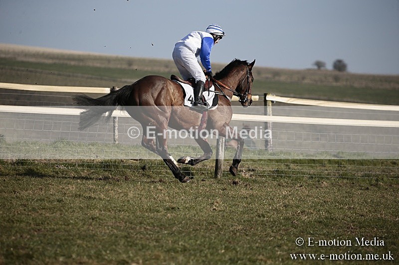 PtP 240218 318 - Vine & Craven Hunt Point-to-Point Barbury racecourse 24/02/18