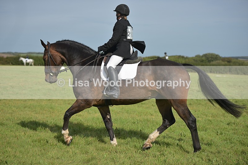 RAY_7976 - Class 2B: Trekenning Open: Dressage