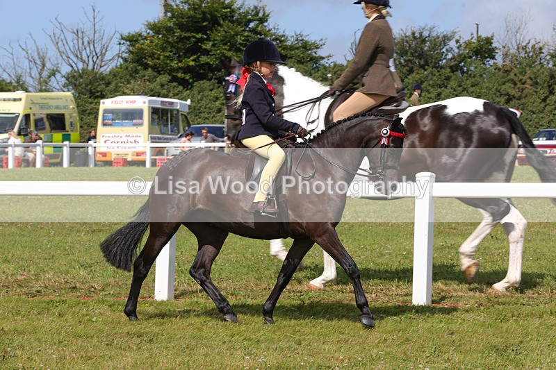 1X9A3723 - Class 30: First Ridden SP/SHP