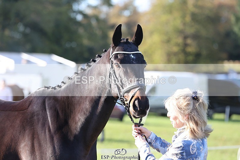 241027-100104-15642 - 353-Cheryl.Beer-LANGALLER.ALPHA.BRAVO