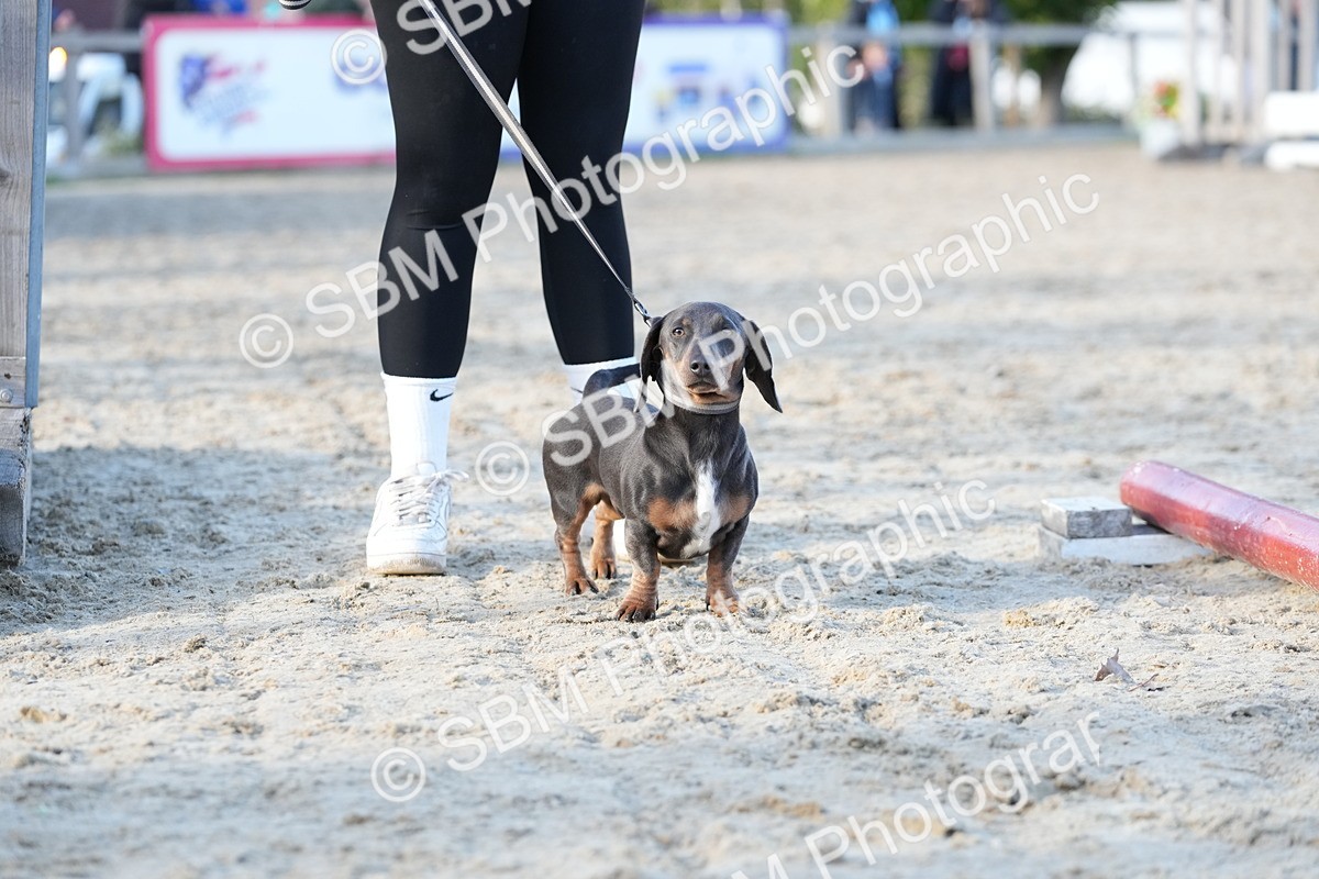 SBM_29020 - J43 - Horse & Hound Open 50cm