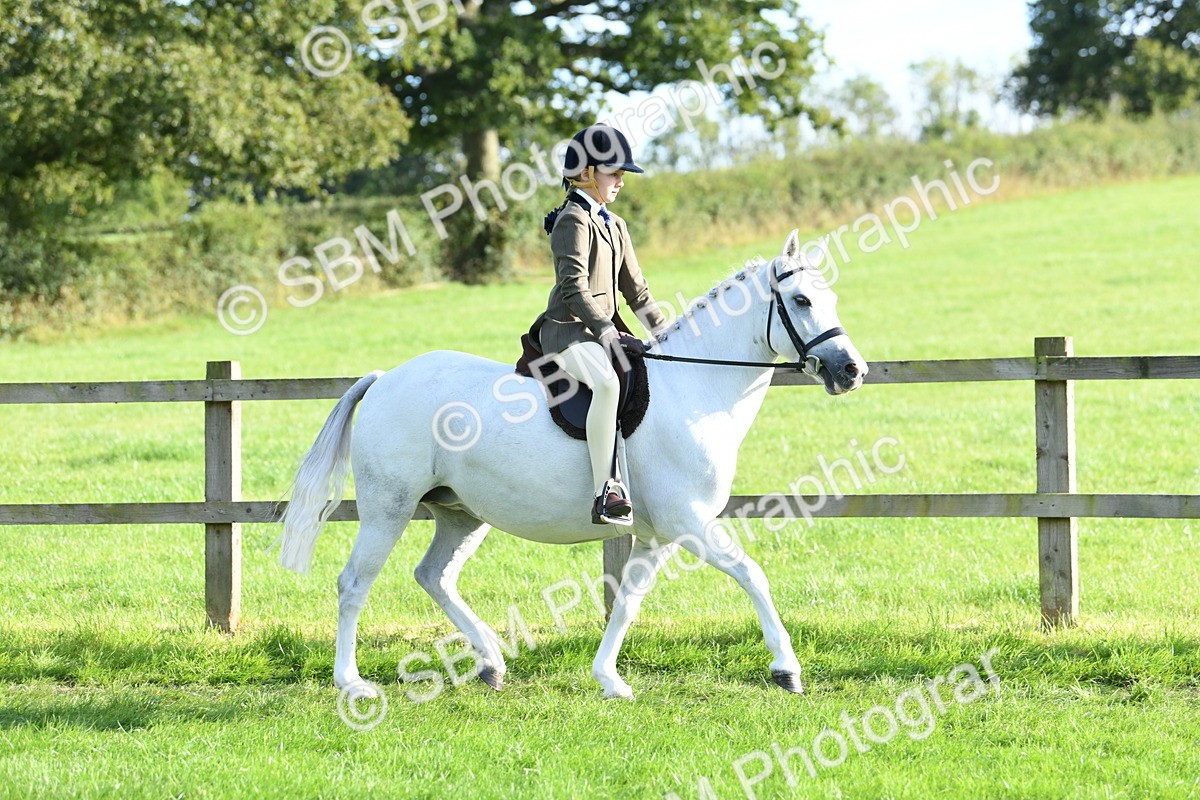 SBM_52382 - S22 - 1st Ridden Show & Show Hunter Pony