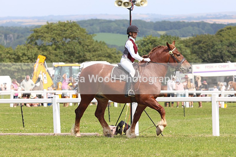 JPP_3526 - Class 15: Heavy Horse Ridden