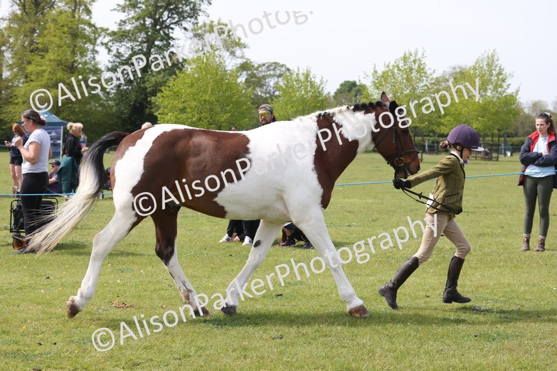 20260426-3346 - Class 27 - Coloured Horses and Ponies