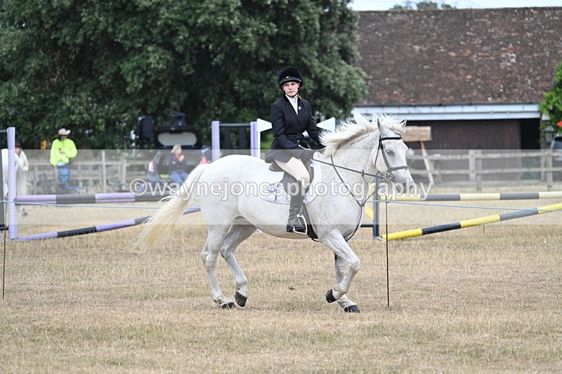 WJ7_0961 - Class 7 Riding Club Show Horse