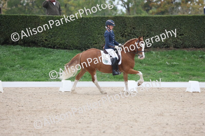 20251011-0401 - Class 4 - Novice 2