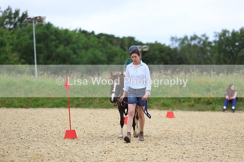 3E7A9536 - Walk trot run